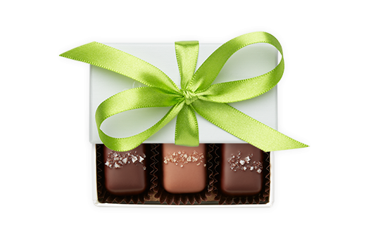 3pc-salted-caramels-ivory-brightgreen