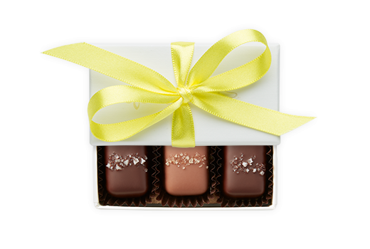 3pc-salted-caramels-ivory-brightyellow