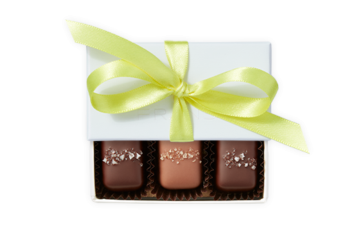 3pc-salted-caramels-ivory-brightyellow-FY23